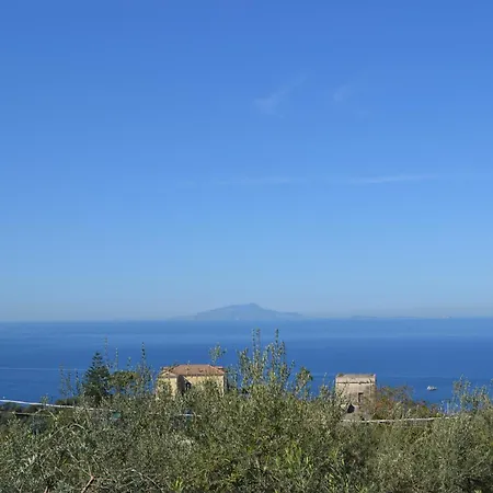 Casa Gli Ulivi Semesterbostad Massa Lubrense